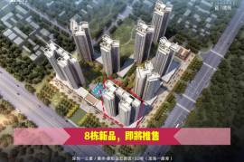 新力睿園-惠州|首期3萬(減)|總價86萬|買裝修三房|香港銀行按揭