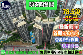中山颐安陶然阁，首期5万(减)，现楼发售，香港银行按揭，最新价单